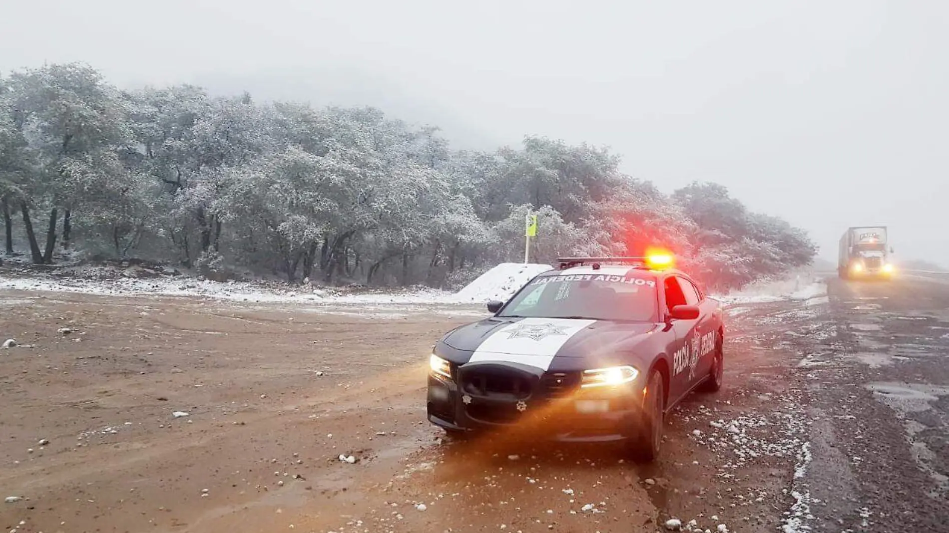 Policía federal 3